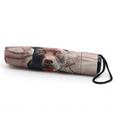 Umbrella with sleeve, Pit Bull, 40"