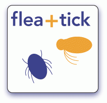flea + tick